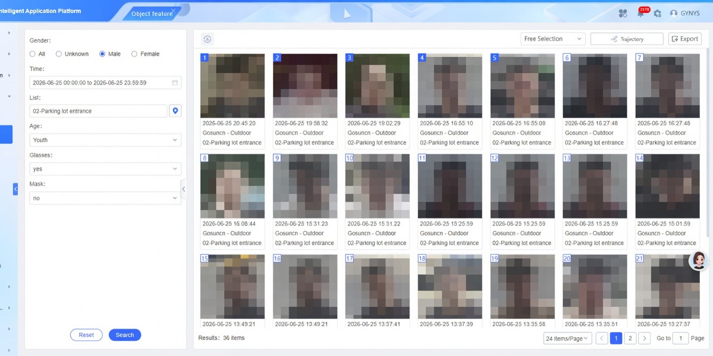 Object Search by Feature & Image